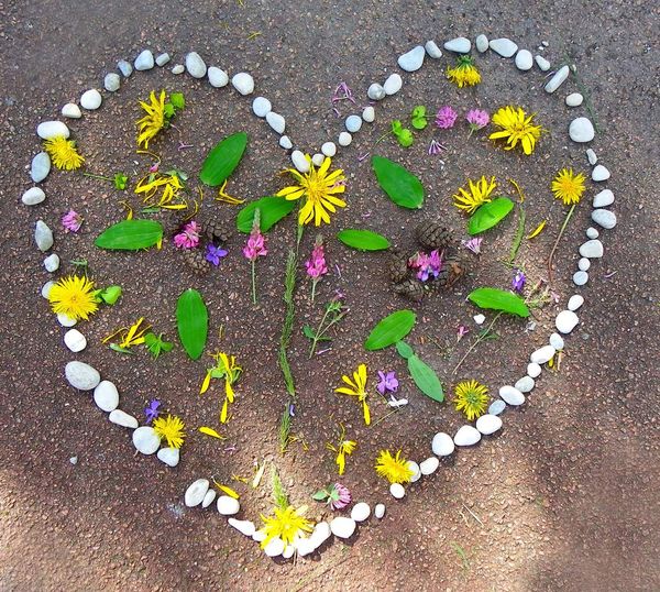 image_1333549_20160420_ob_ced9d3_imgp7113